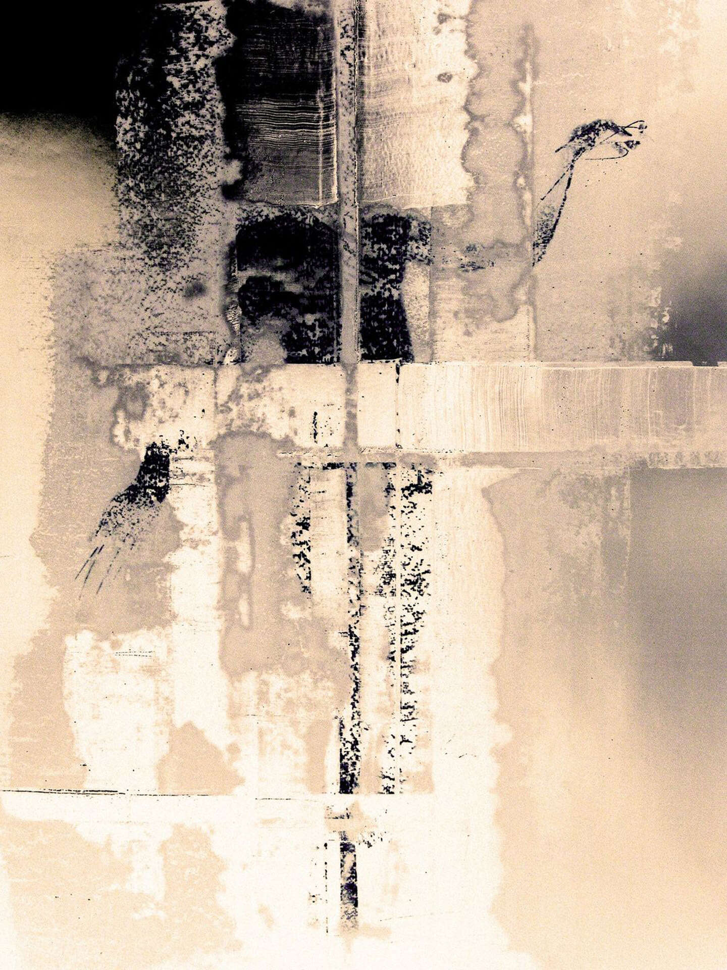 Artifacts of Transience